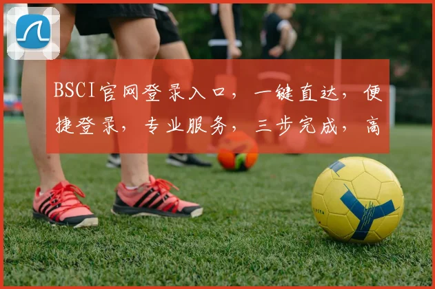 BSCI官网登录入口，一键直达，便捷登录，专业服务，三步完成，高效体验，轻松登录